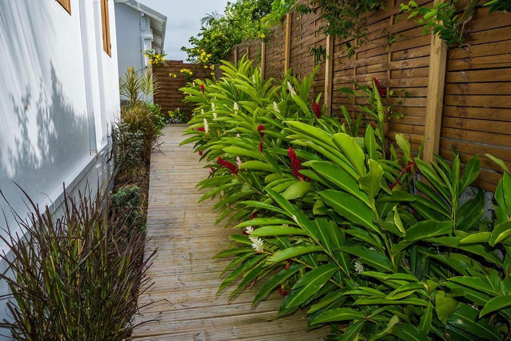 Maison Cosy Avec Jardin A Anse-Bertrand Villa Exterior foto